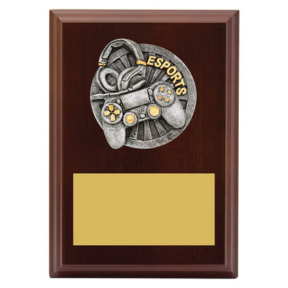 Peak Plaque Esports