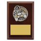 Peak Plaque Esports