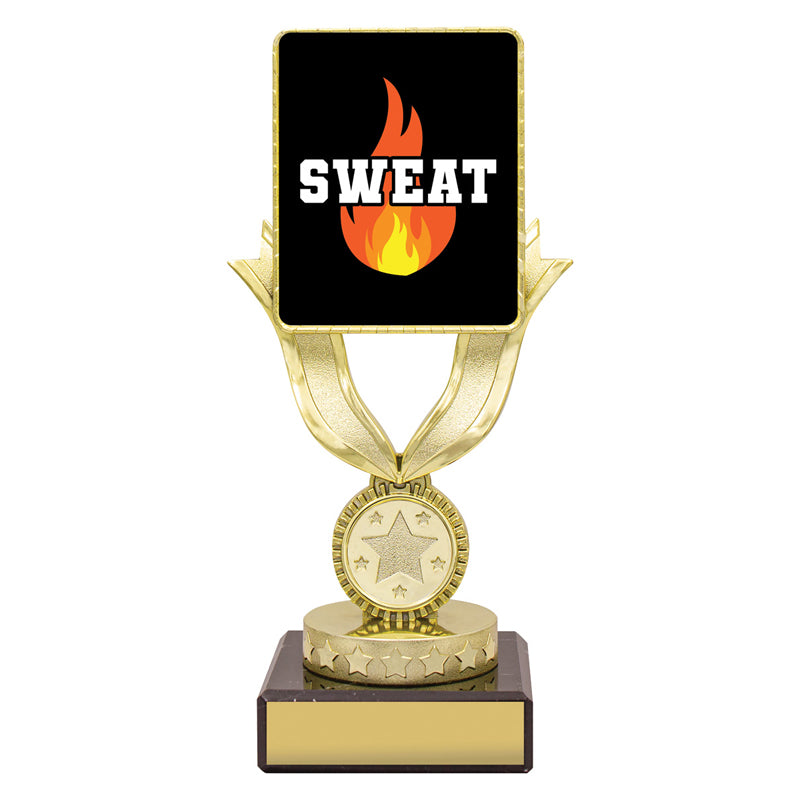 Lynx Dash - Sweat Training