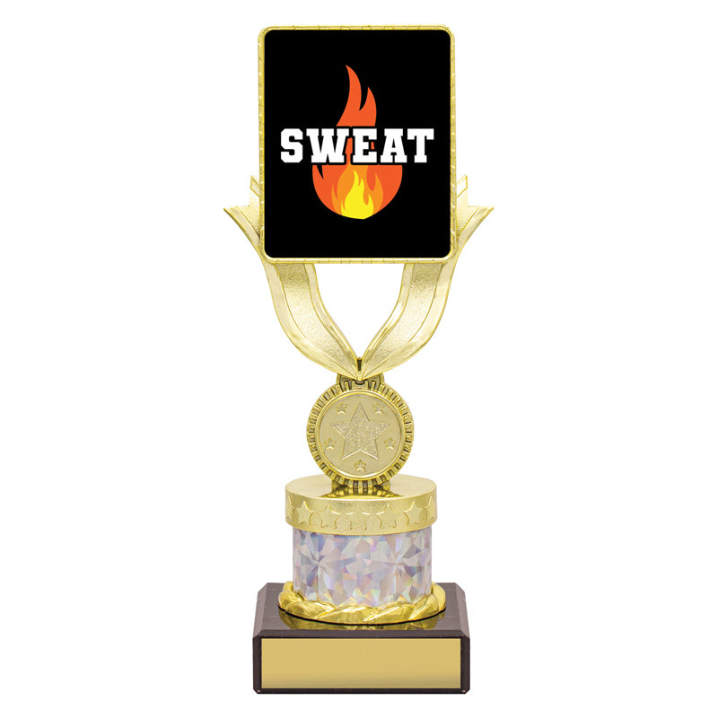 Lynx Dash - Sweat Training