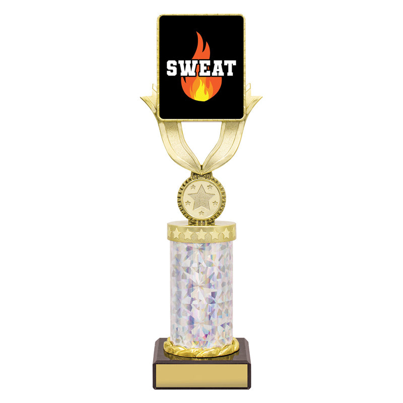 Lynx Dash - Sweat Training