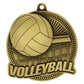 Volleyball Stars