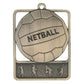 Netball Rosetta