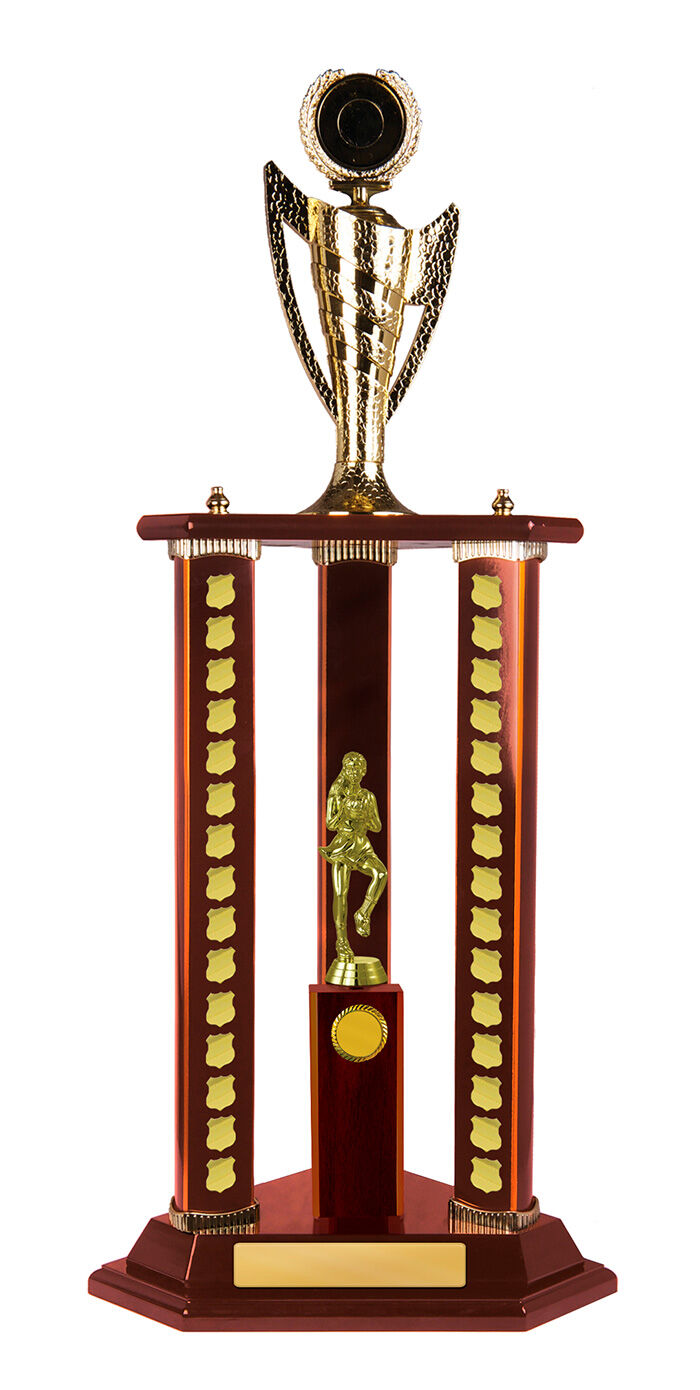 Timber Buildup Multiple Sports - Perpetual Tower