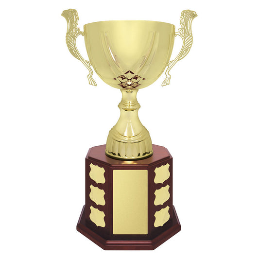 Ensign Cup