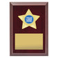 Star Plaque - Gold