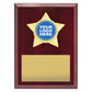 Star Plaque - Gold