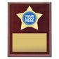 Star Plaque - Gold