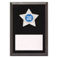 Star Plaque - Silver