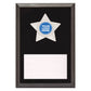 Star Plaque - Silver