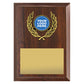 Amity Plaque