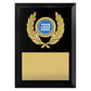Focus Plaque