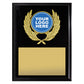 Focus Plaque