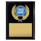 Focus Plaque