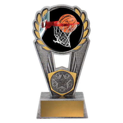 Basketball Polaris - Colour