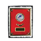 Plaque with Glass
