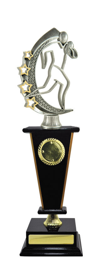 Timber Buildup Multiple Sports - Tower & Logo