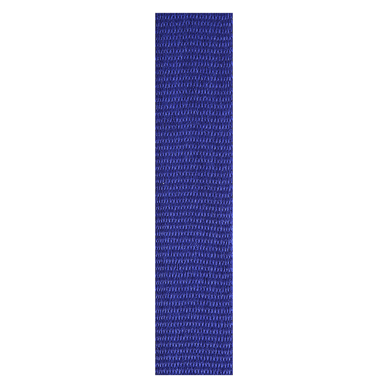 Blue Loop Ribbon