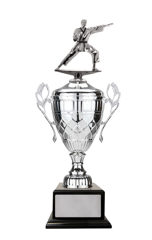 Whopper Cup-Martial Arts