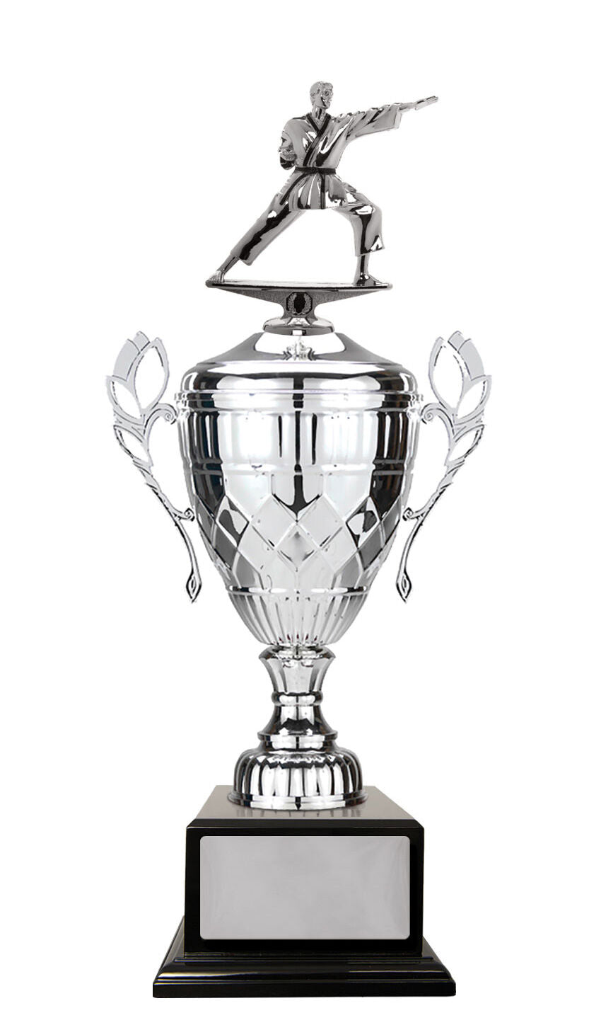 Whopper Cup-Martial Arts