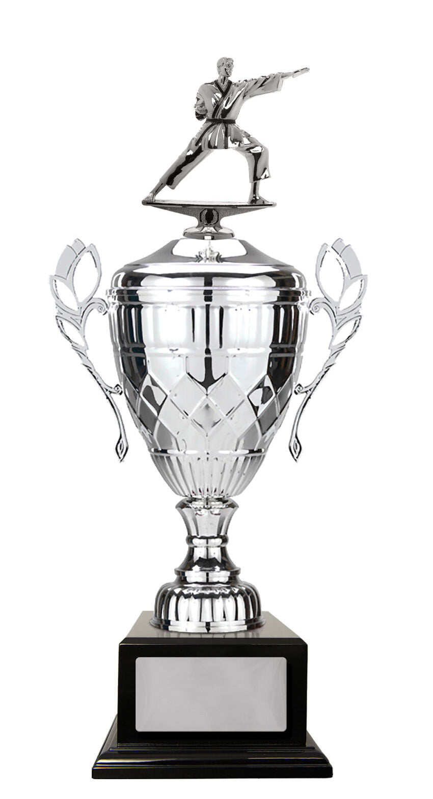 Whopper Cup-Martial Arts
