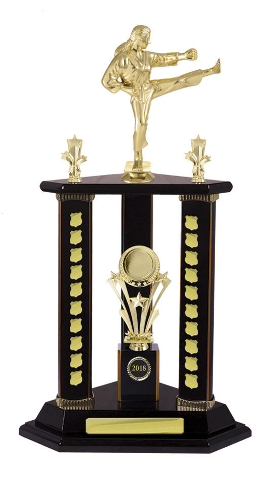 Timber Buildup Multiple Sports - Perpetual Tower