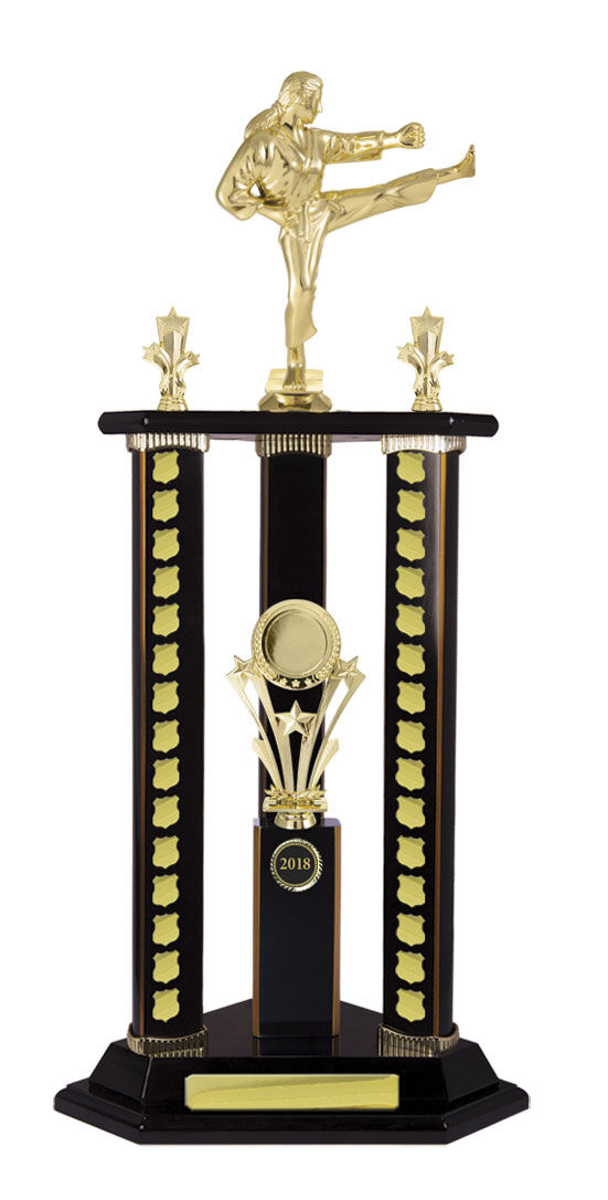Timber Buildup Multiple Sports - Perpetual Tower