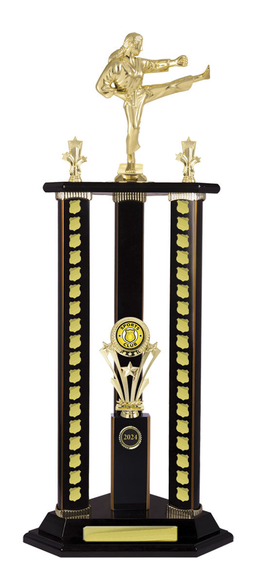 Timber Buildup Multiple Sports - Perpetual Tower