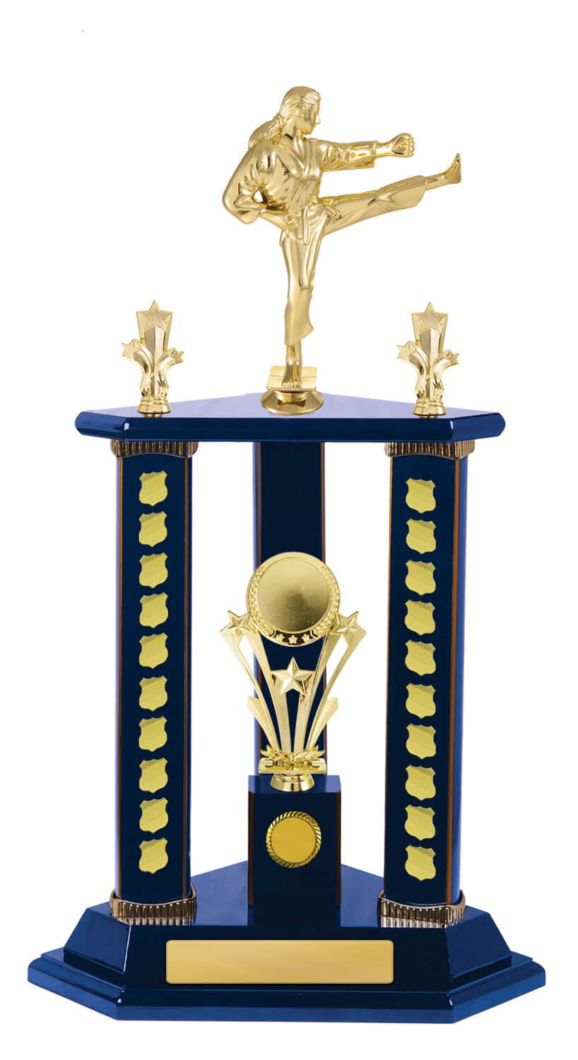 Timber Buildup Multiple Sports - Perpetual Tower