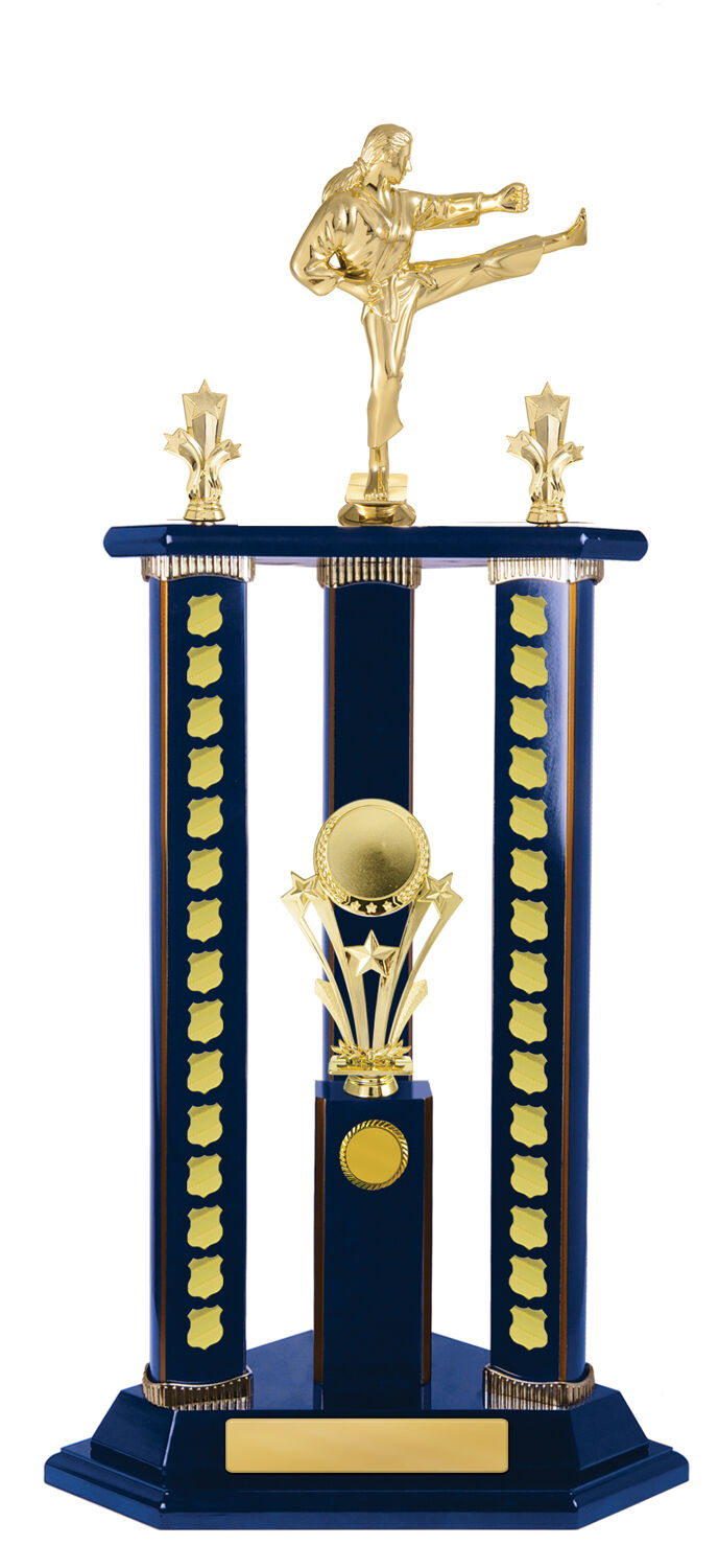 Timber Buildup Multiple Sports - Perpetual Tower