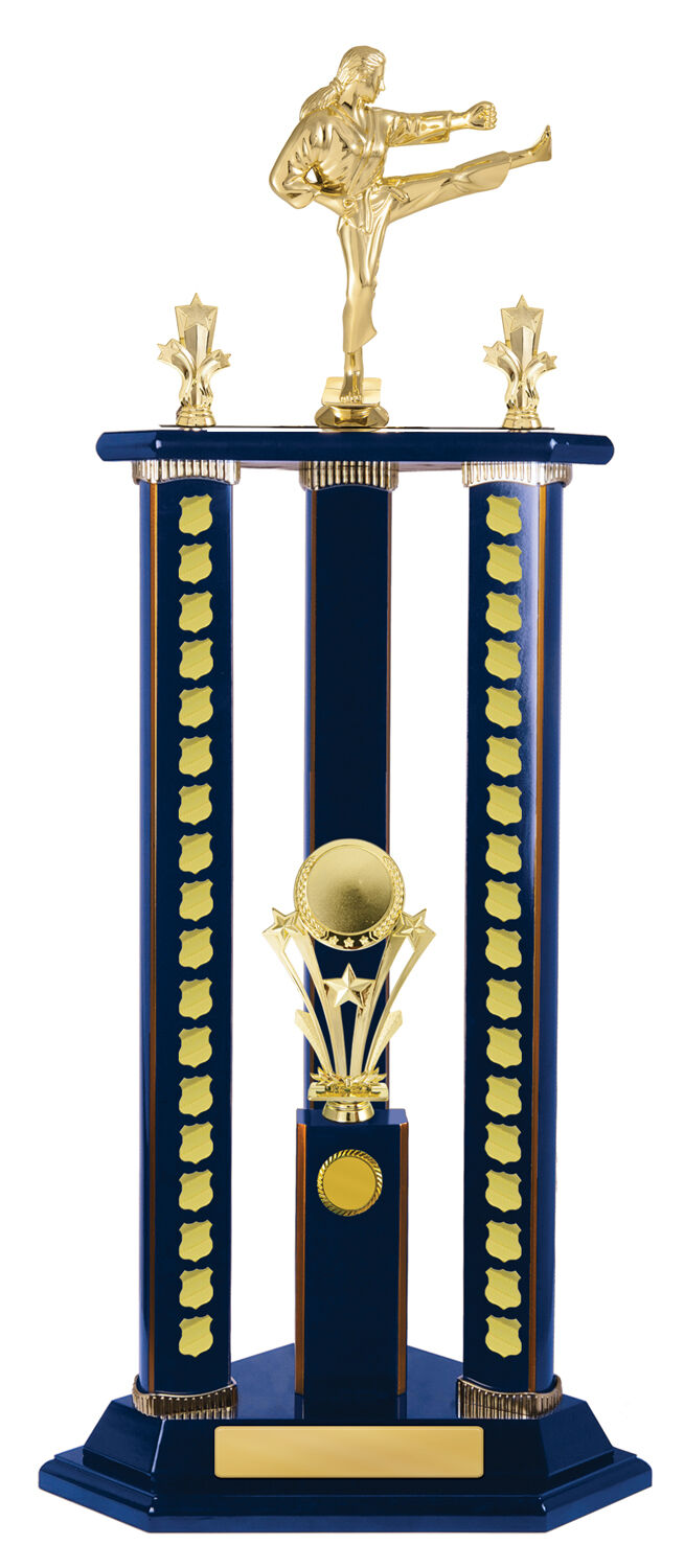 Timber Buildup Multiple Sports - Perpetual Tower