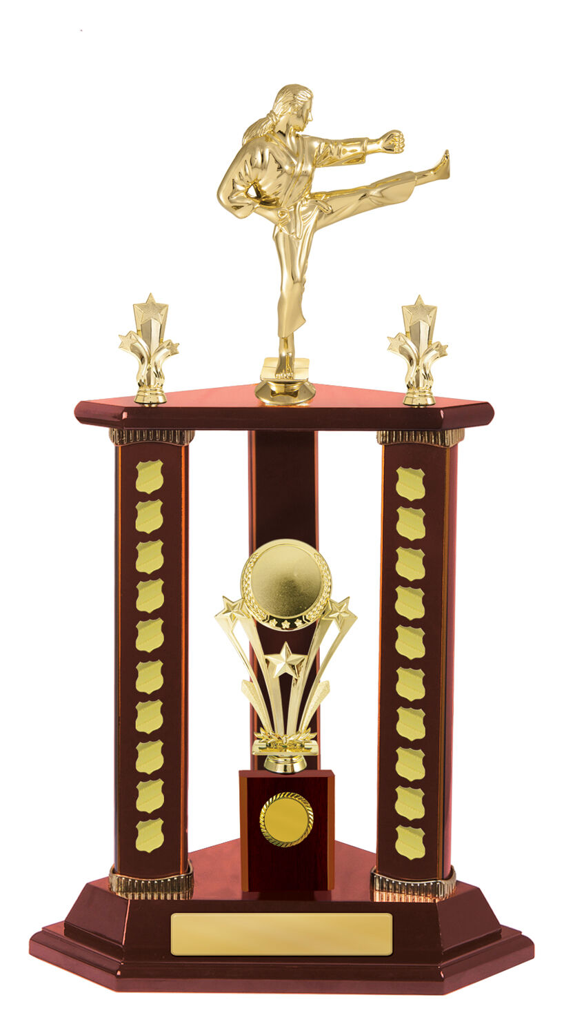 Timber Buildup Multiple Sports - Perpetual Tower