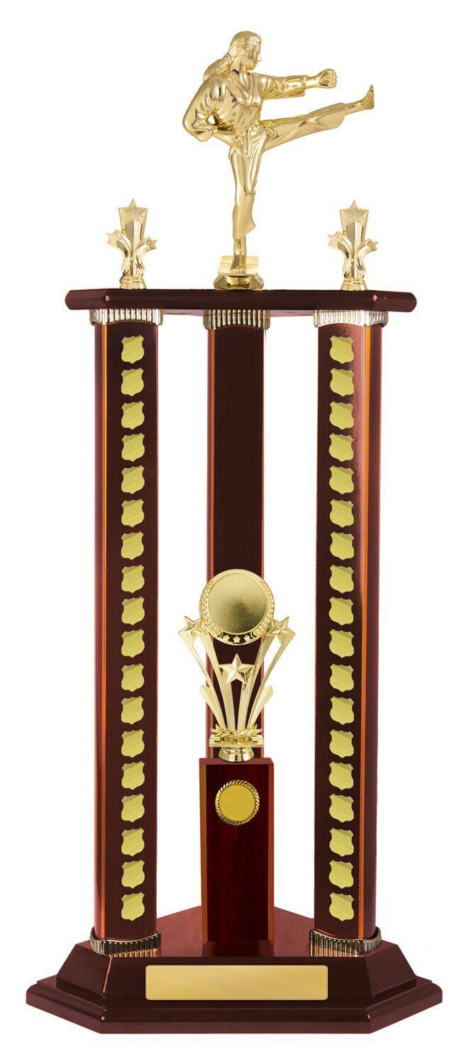 Timber Buildup Multiple Sports - Perpetual Tower