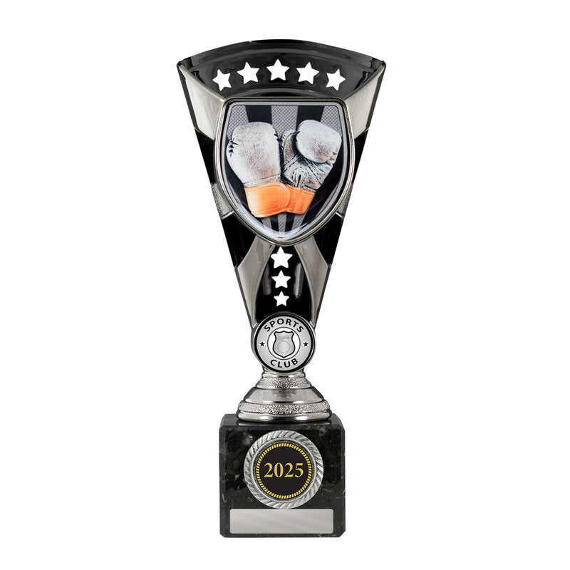 Cobra Cup-Boxing