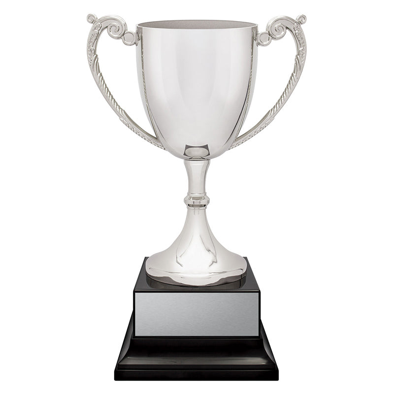 Provenance Cup
