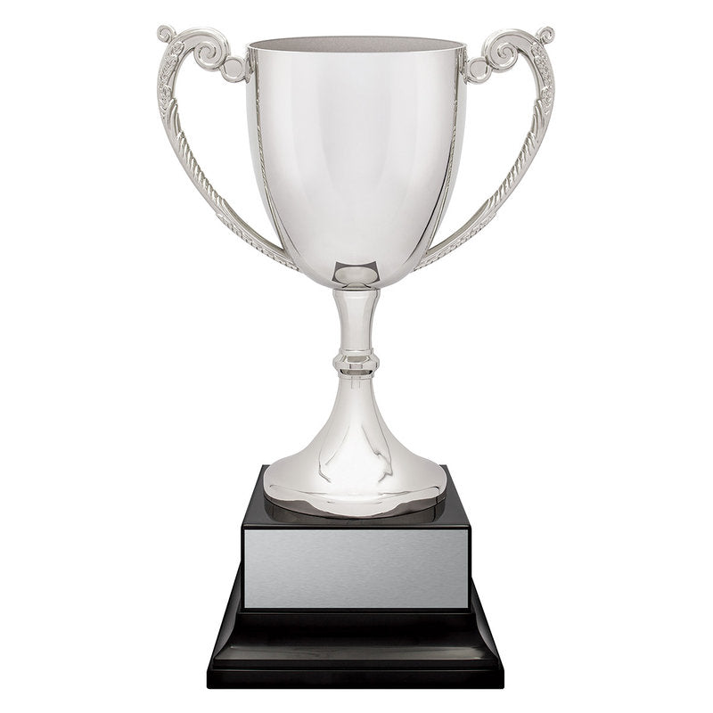 Provenance Cup