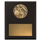 Challenge Plaque - Batting