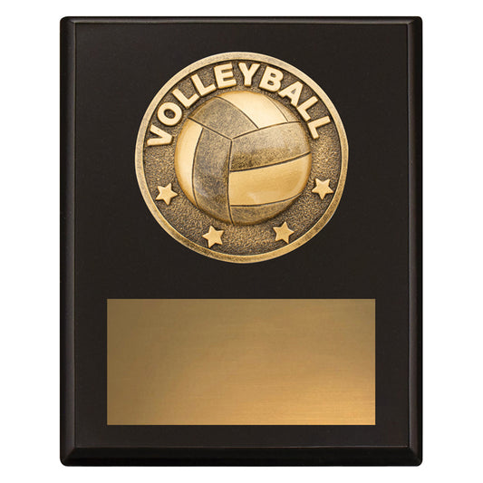 Challenge Plaque - Volleyball