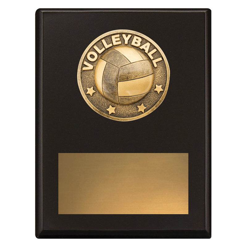 Challenge Plaque - Volleyball