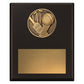 Challenge Plaque - Cricket