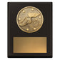 Challenge Plaque - Athletics