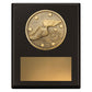 Challenge Plaque - Athletics