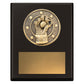 Challenge Plaque - Wicketkeeping
