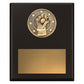 Challenge Plaque - Wicketkeeping