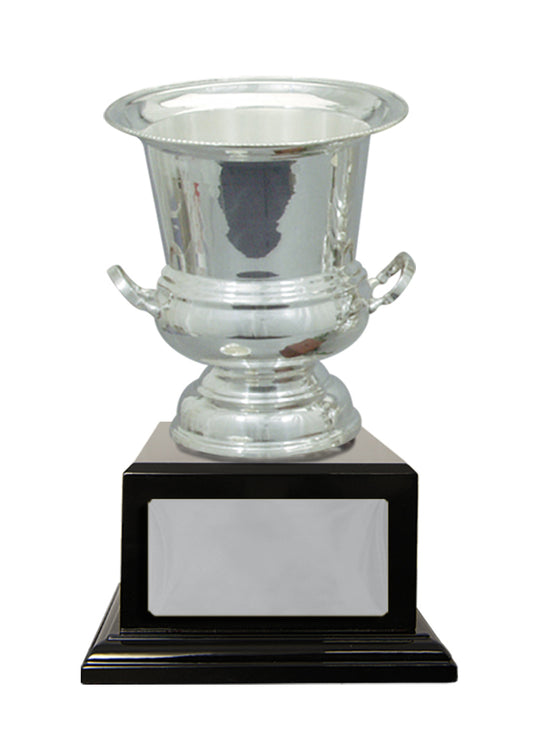Silver Plated Cup