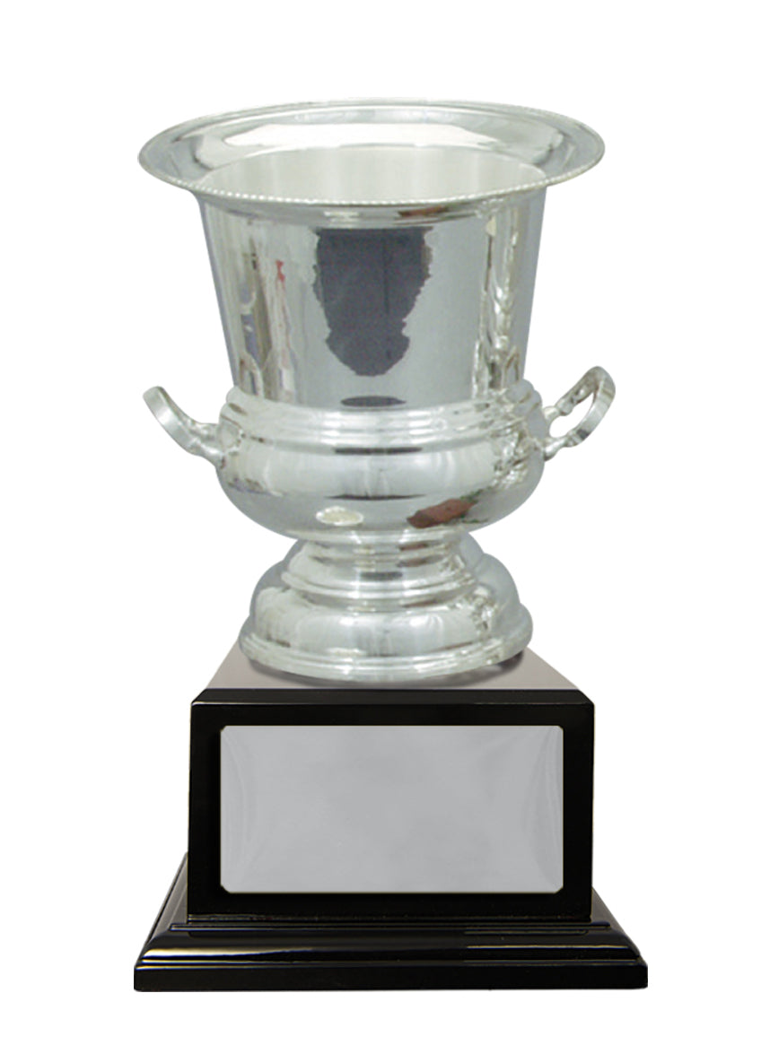 Silver Plated Cup