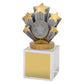 Achievement Budget Crystal