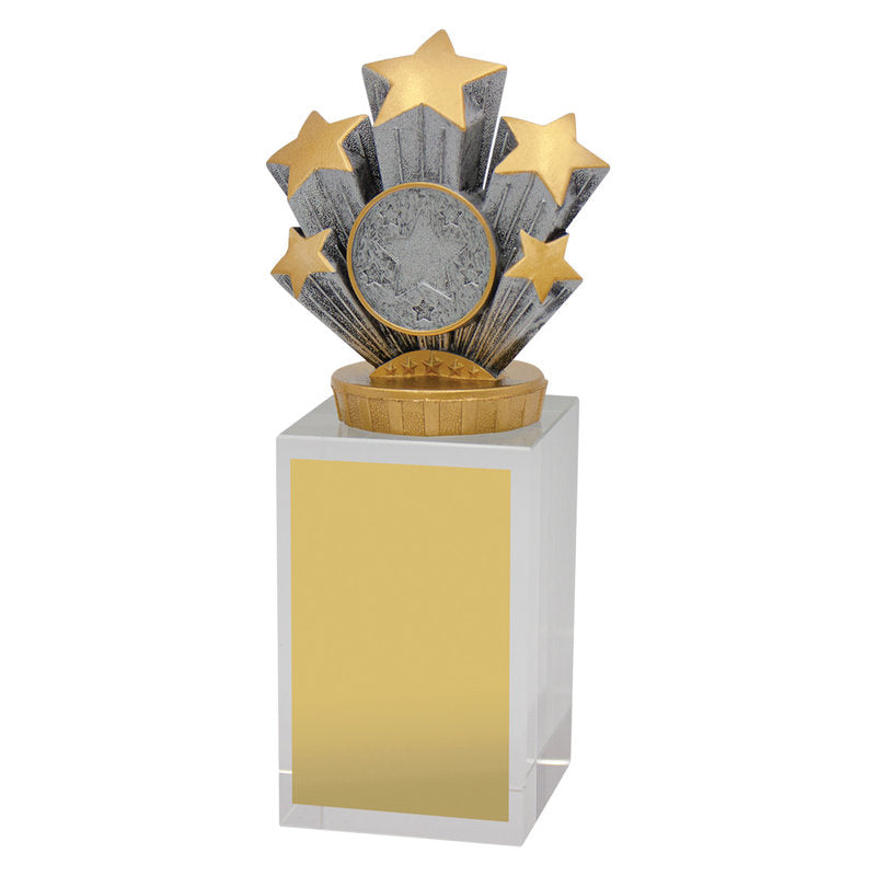 Achievement Budget Crystal