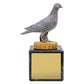 Pigeon Marble