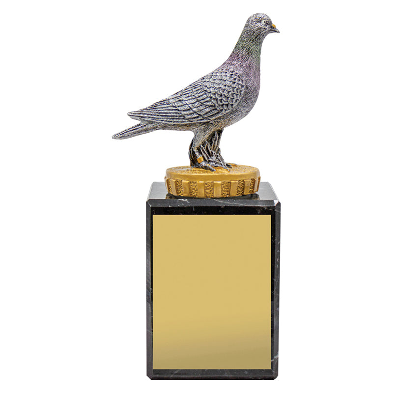 Pigeon Marble